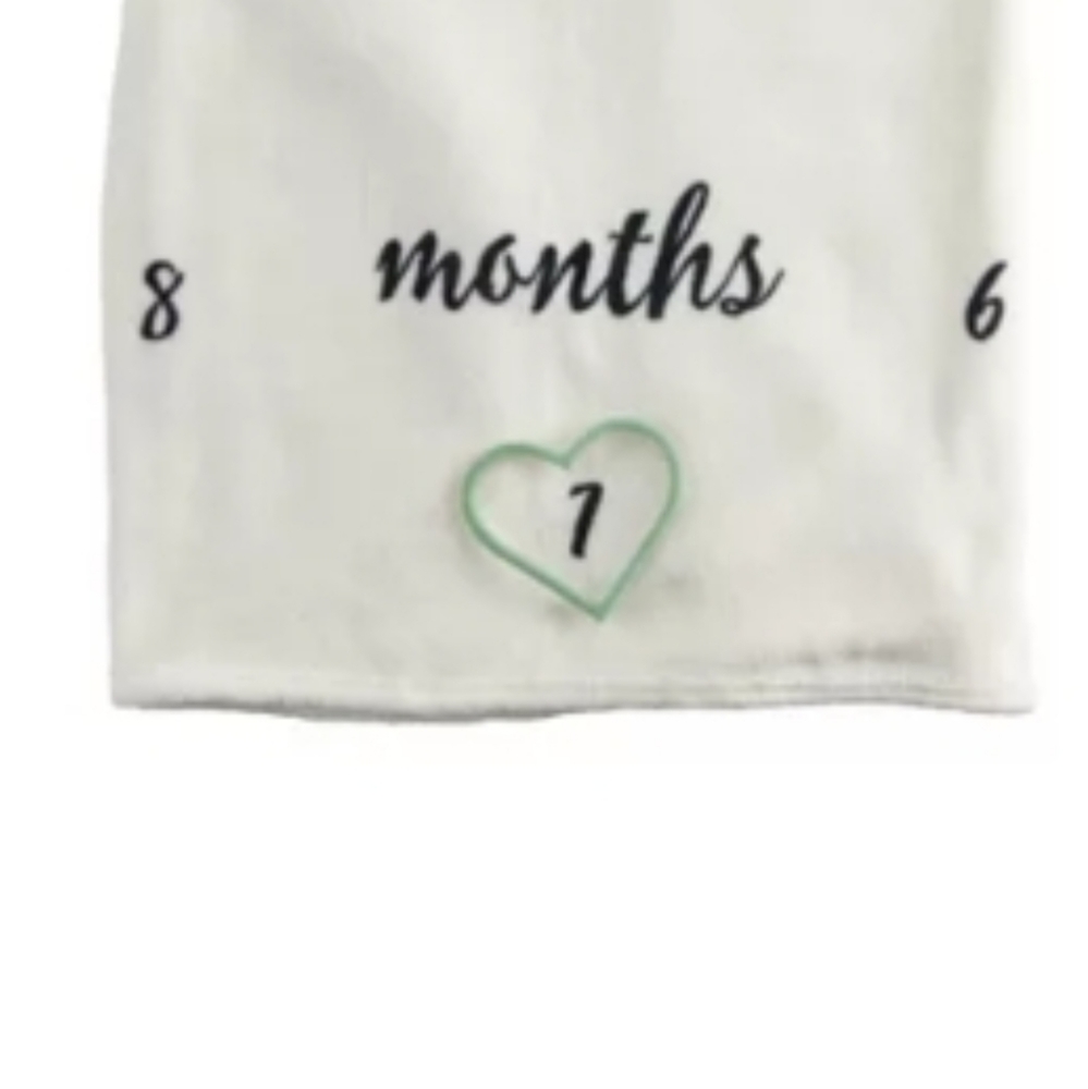 Baby Milestone Blanket NWT